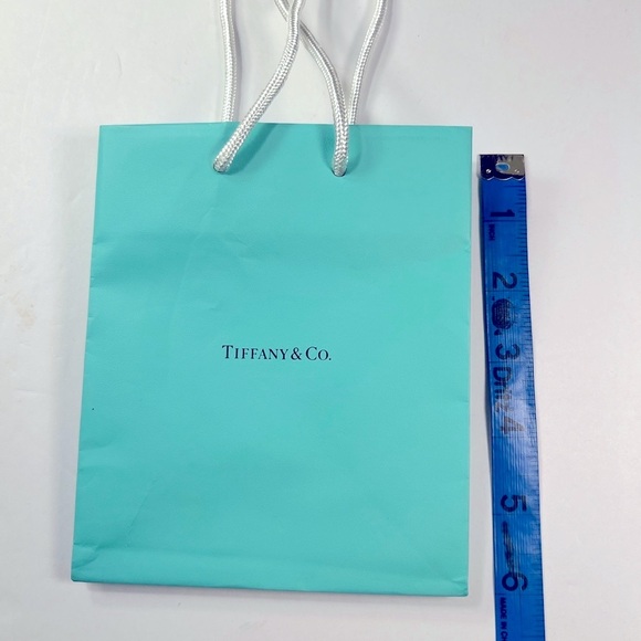 Tiffany & Co. Blue Shopping Gift Bag Authentic Luxury Packaging wit Rope Handles - Picture 2 of 9